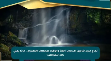نجاح جديد لتأمين إمدادات الغاز والوقود لمحطات الكهرباء.. ماذا يعني ذلك للمواطن؟